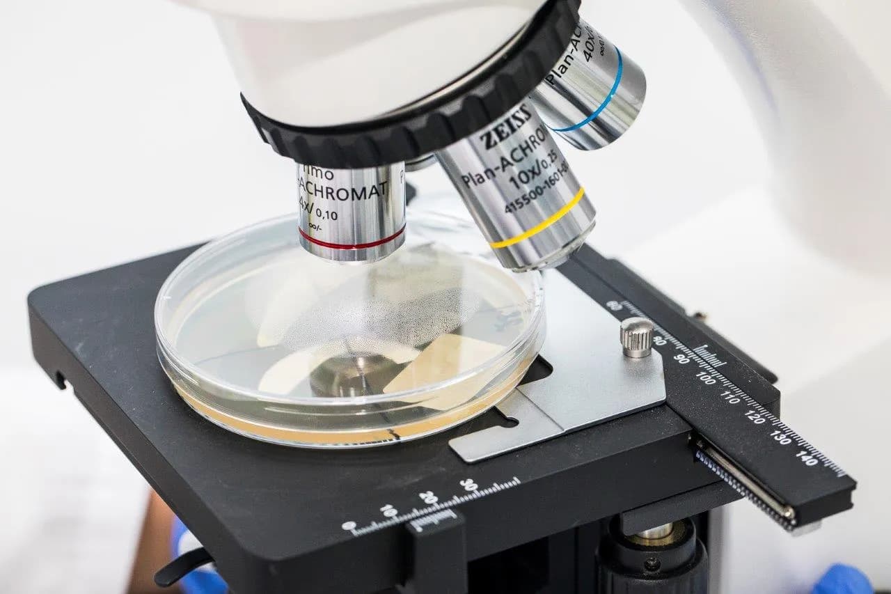 A Zeiss microscope with a Petri dish, close-up
